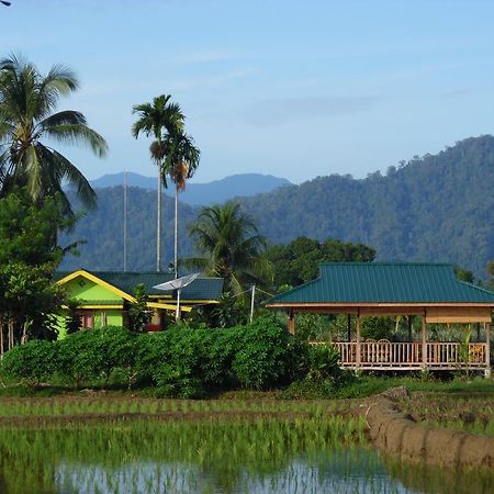 Landbow Green Villa Bukit Lawang Eksteriør billede