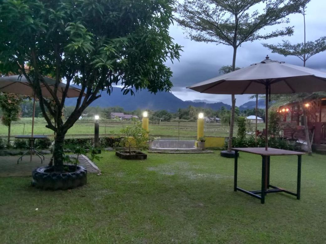 Landbow Green Villa Bukit Lawang Eksteriør billede