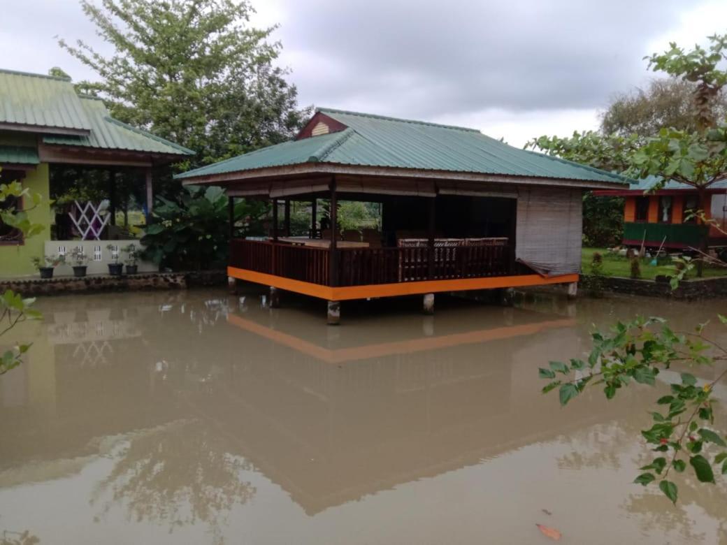 Landbow Green Villa Bukit Lawang Eksteriør billede