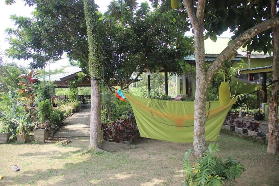 Landbow Green Villa Bukit Lawang Eksteriør billede