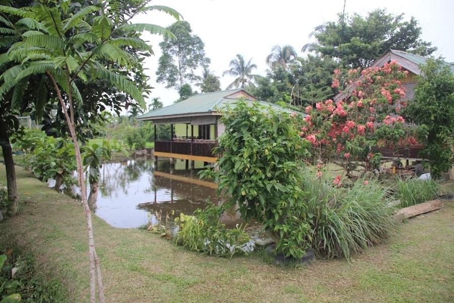 Landbow Green Villa Bukit Lawang Eksteriør billede