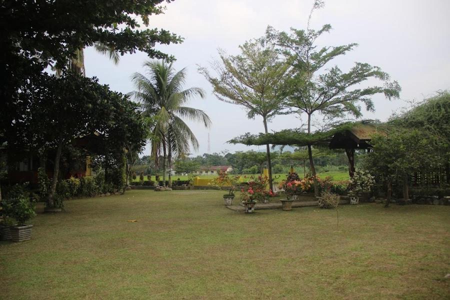 Landbow Green Villa Bukit Lawang Eksteriør billede