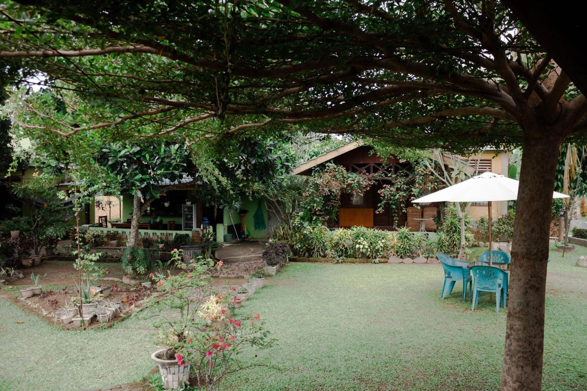 Landbow Green Villa Bukit Lawang Eksteriør billede