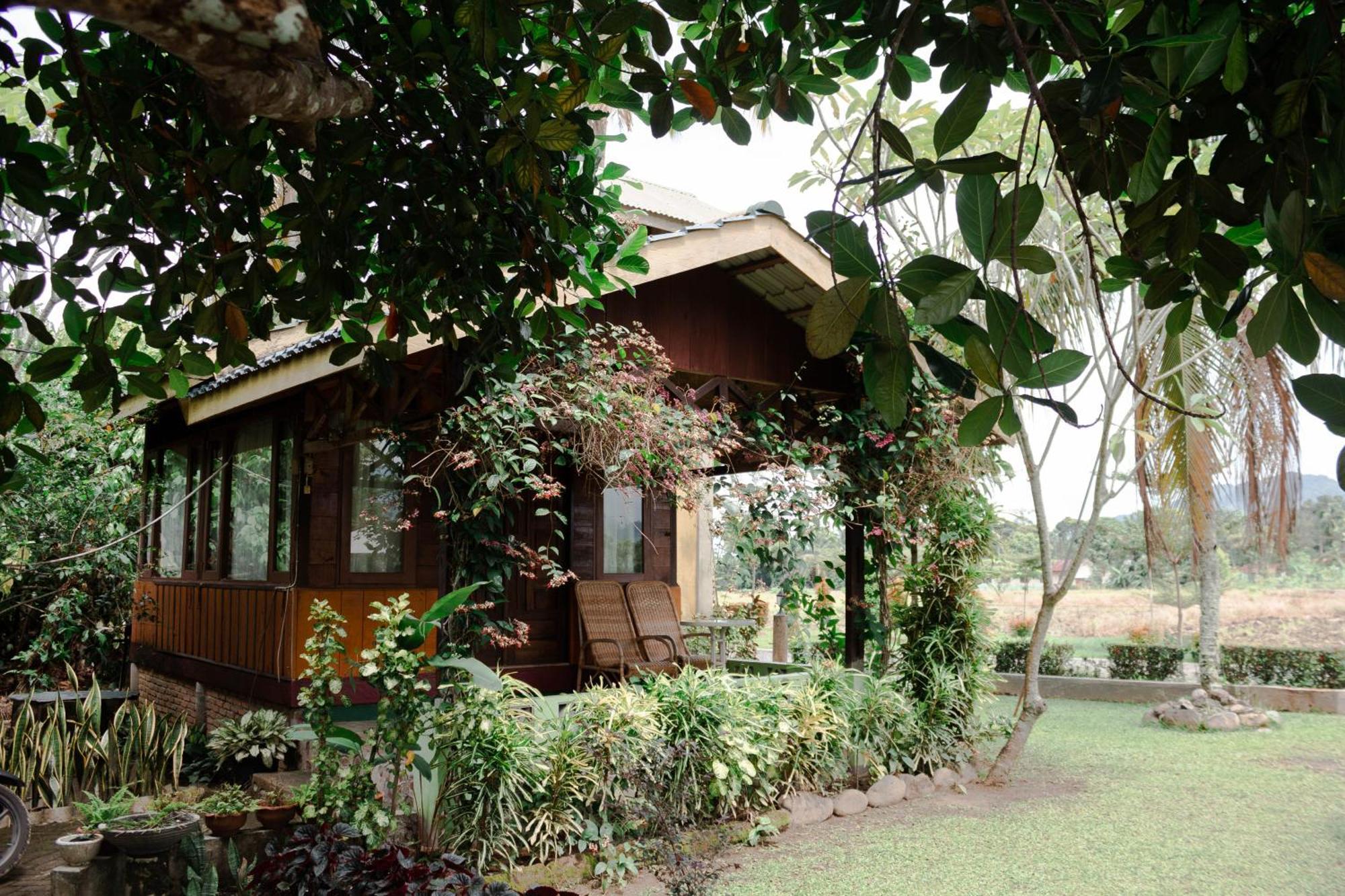 Landbow Green Villa Bukit Lawang Eksteriør billede