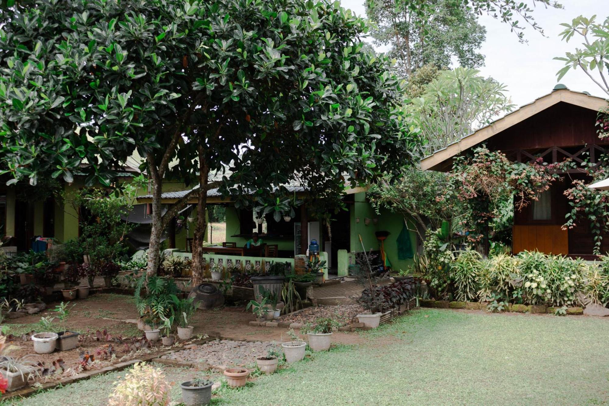 Landbow Green Villa Bukit Lawang Eksteriør billede