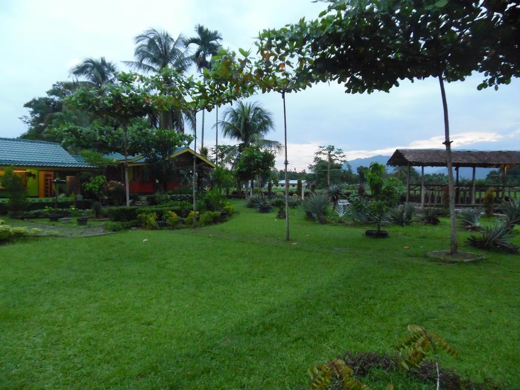 Landbow Green Villa Bukit Lawang Eksteriør billede