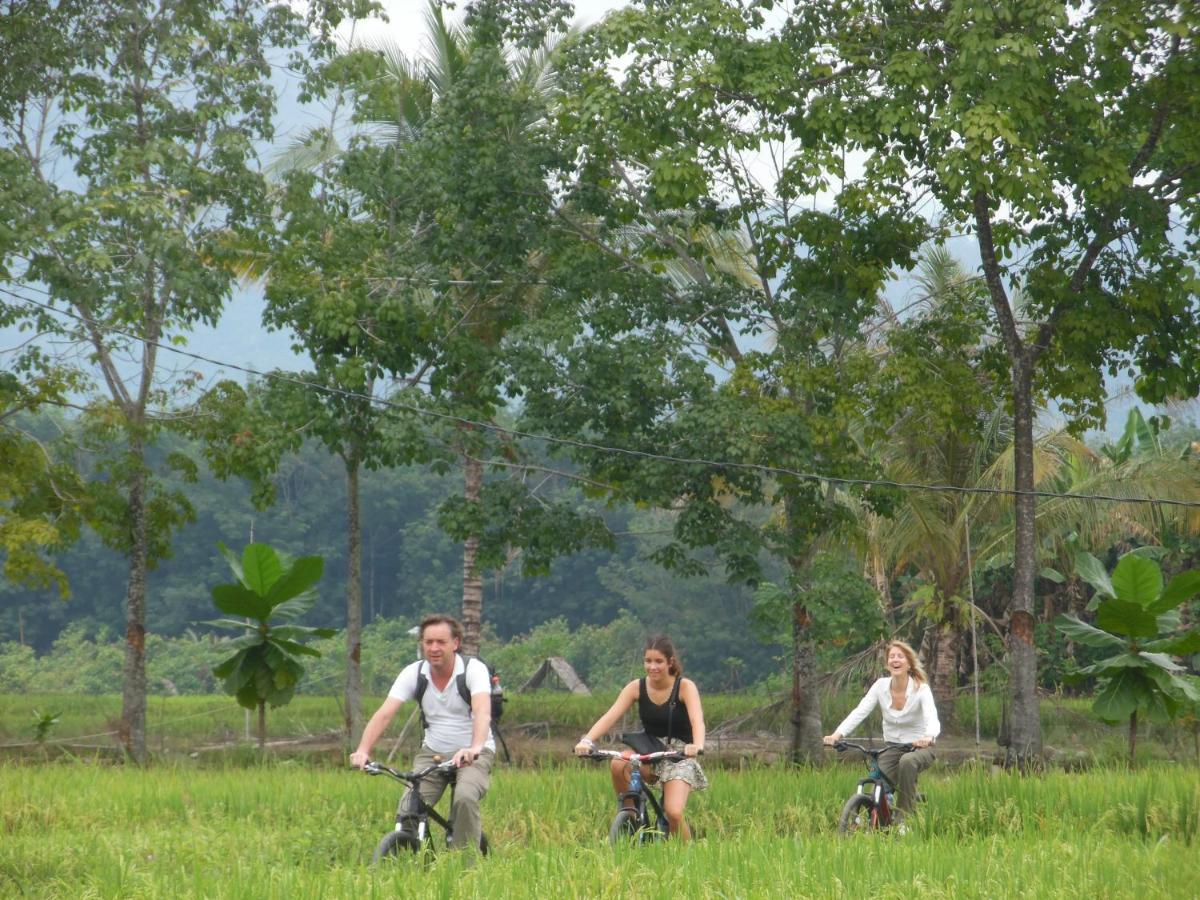 Landbow Green Villa Bukit Lawang Eksteriør billede
